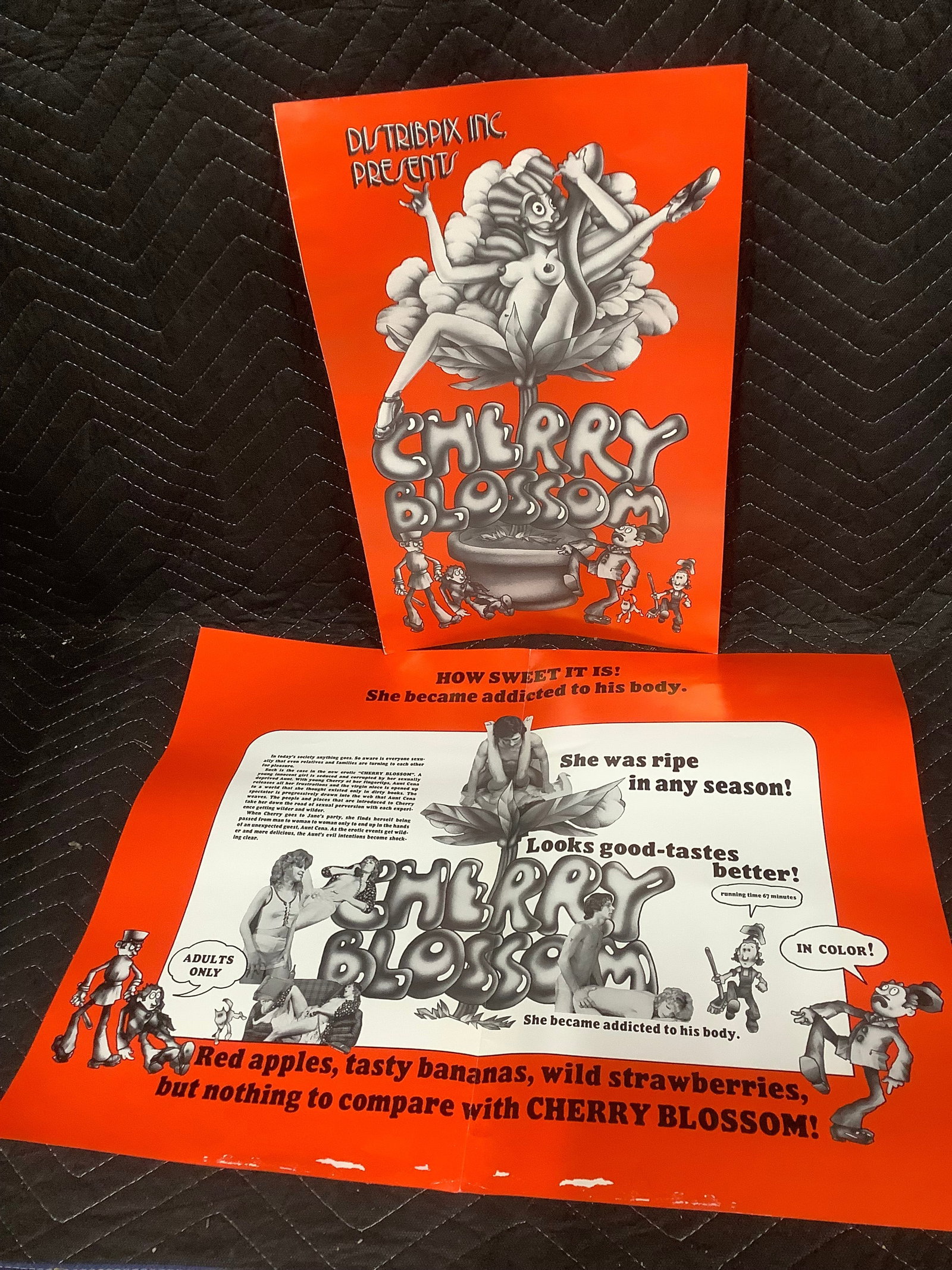 Vintage original XXX 1970s movie promo brochure poster (1 of 1)