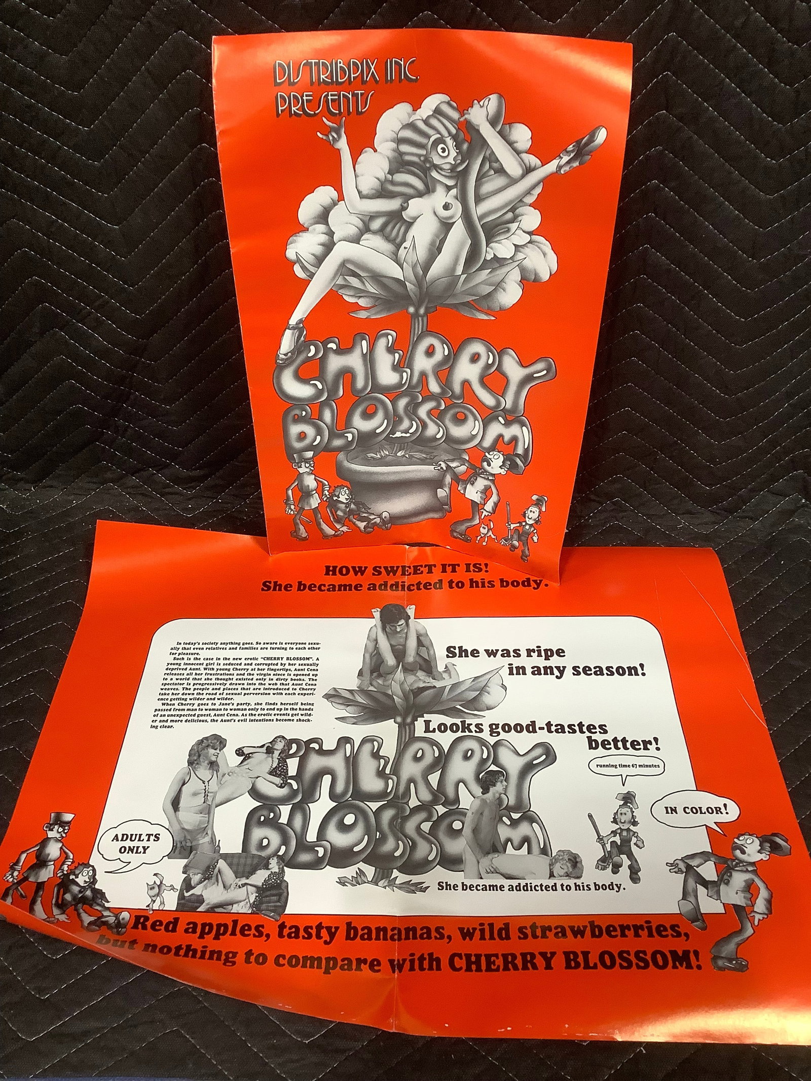 Vintage original XXX 1970s movie promo brochure poster (1 of 1)