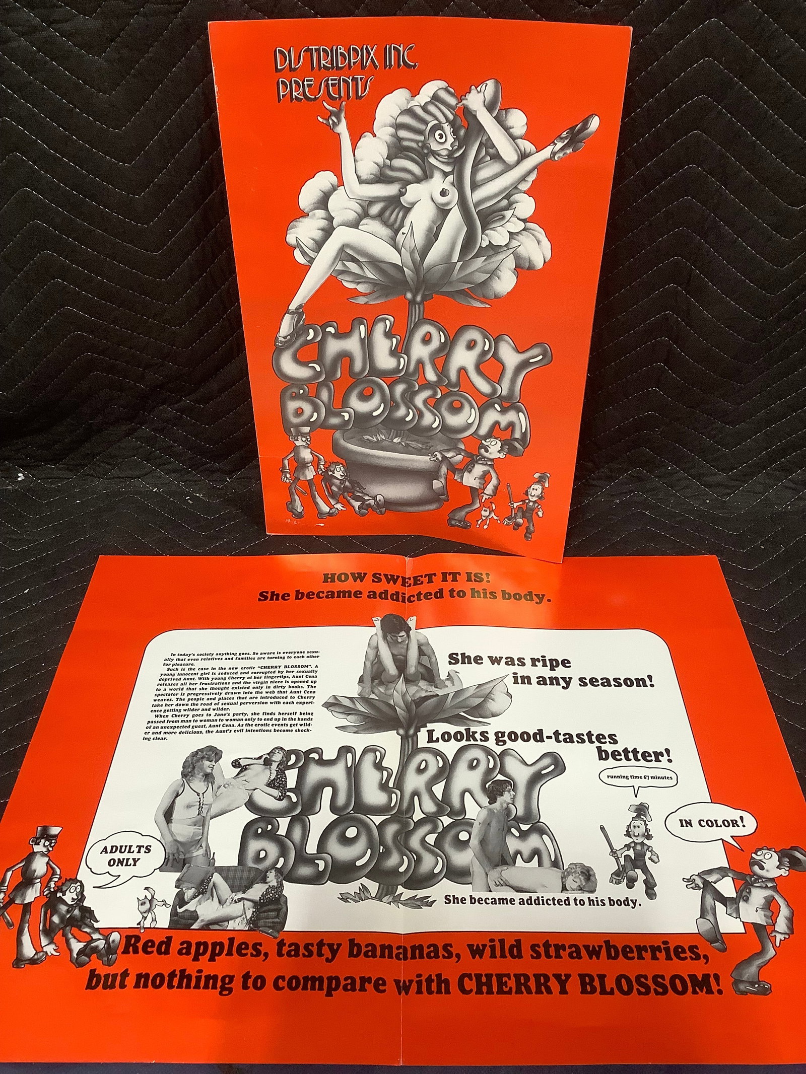 Vintage original XXX 1970s movie promo brochure poster (1 of 1)