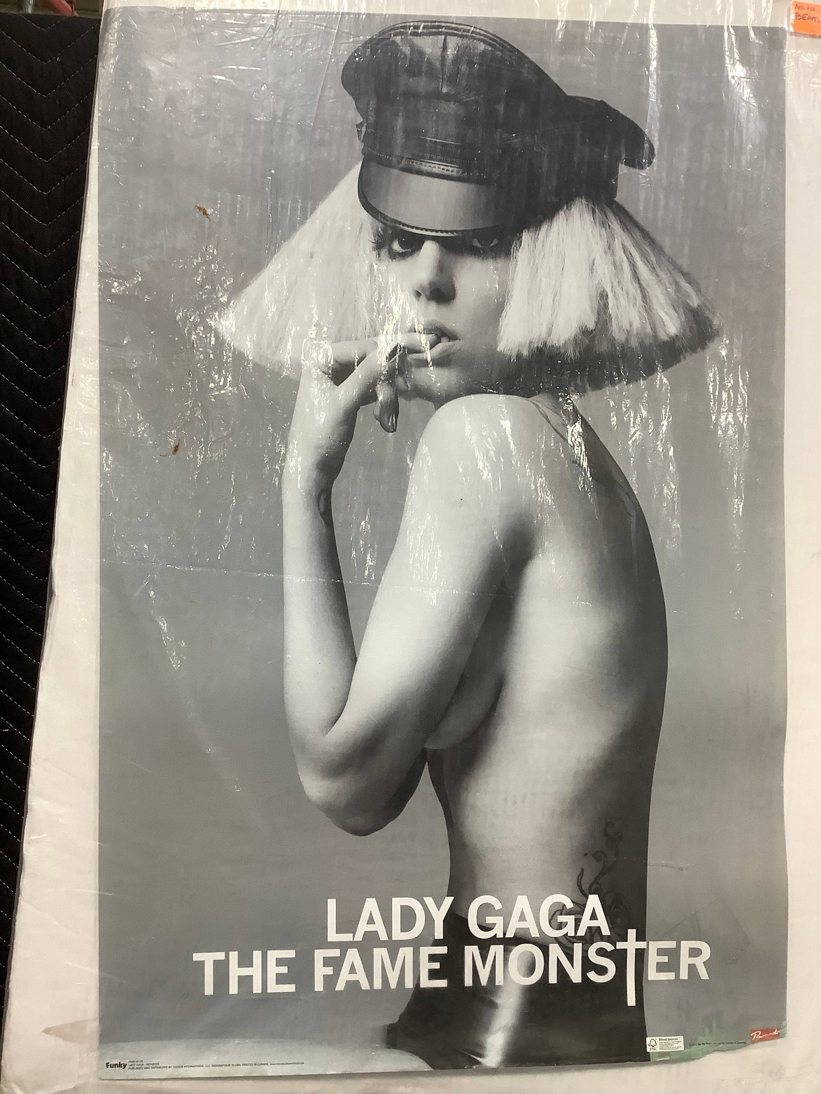 Lady Gaga Poster (22inx34in): Lady Gaga Poster (22inx34in)