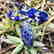 Tibetan Lapis Handmade Antique Necklace - 2