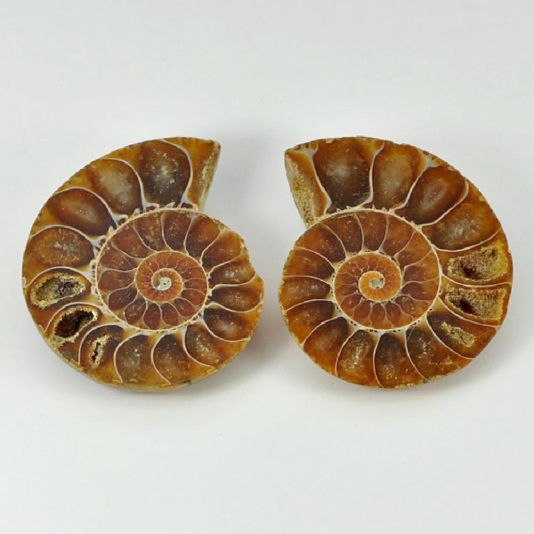 88.79 CT. PAIR NATURAL AMMONITE FOSSIL - MADAGASCAR (1 of 3)