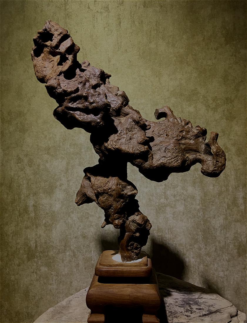 chinese free form root boulder (1 of 4)