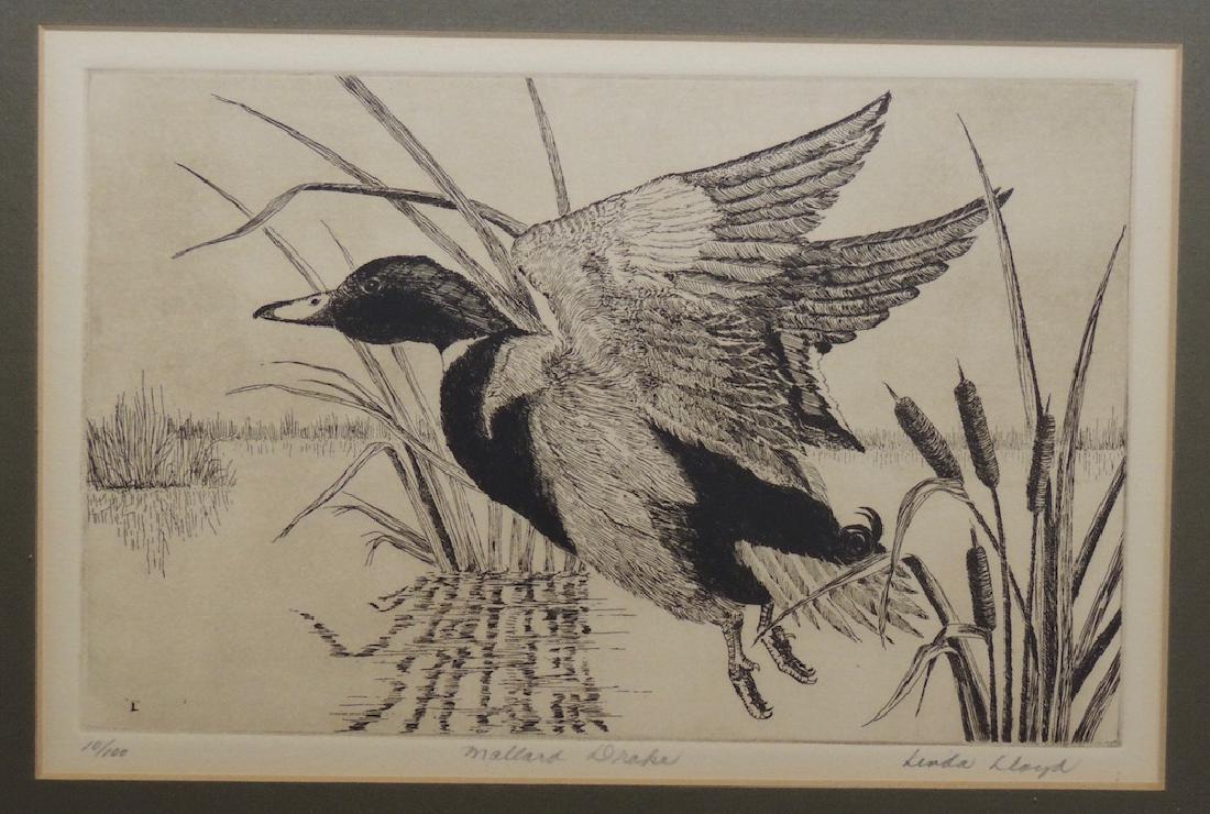 Linda Lloyd - b. 1938 New Orleans (1 of 2)