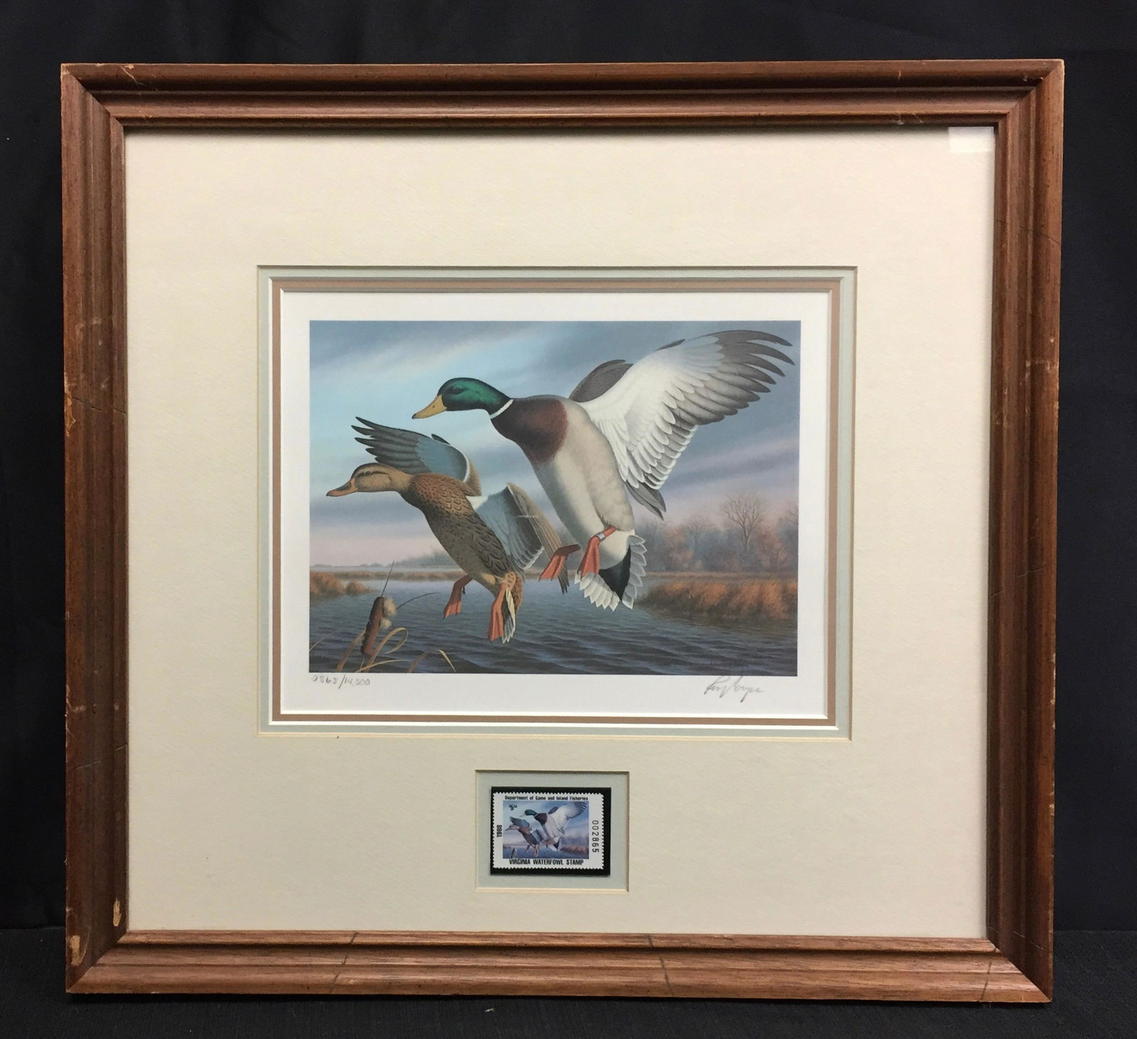 Ronald Louque Duck Stamps & Print (1 of 1)