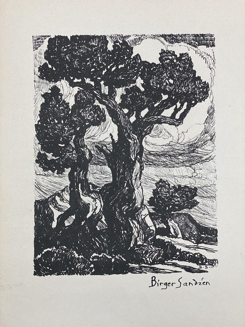 Birger Sandzen Ink Signed | 1925 Lithograph: Birger Sandzen Ink Signed | 1925 Lithograph Book Page | Giant Cedars | 9 3/8 x 12 1/2