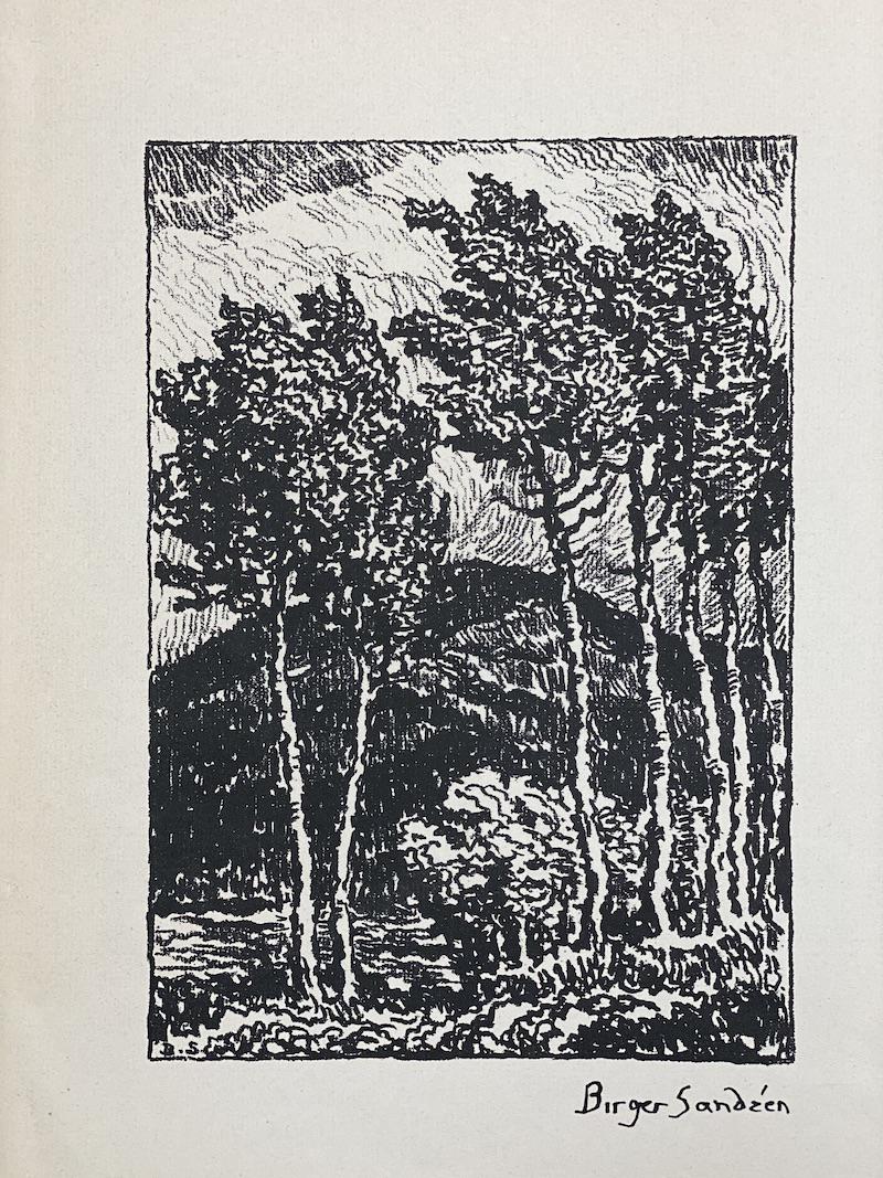Birger Sandzen Ink Signed | 1925 Lithograph: Birger Sandzen Ink Signed | 1925 Lithograph Book Page | Valley in the Mountains | 9 3/8 x 12 1/2