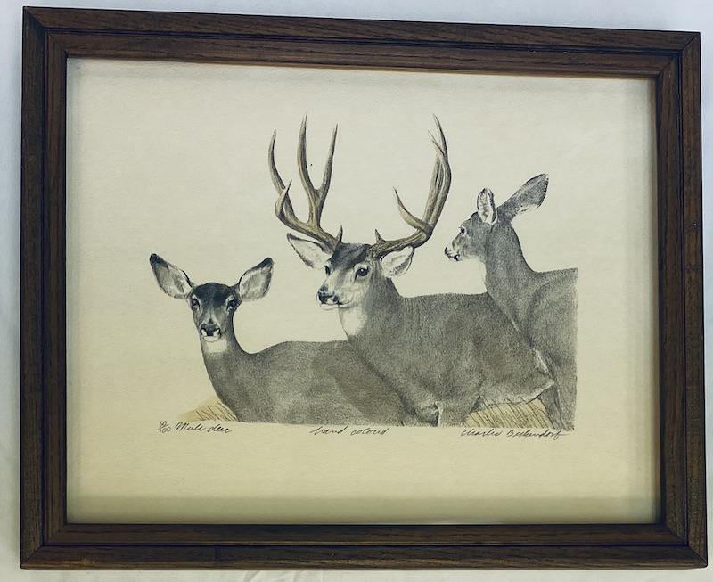 Charles Beckendorf | Signed Lithographs: Charles Beckendorf | Signed Lithographs (3) | Set of three all signed & Numbered| Two Hand Colored | White Tails Framed Measures 11 x 14 | Mule Deer Framed Measures 12 1/4 x 15 1/4 | TigerFramed Measu