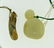 Chinese Carved Jade Lot - 2