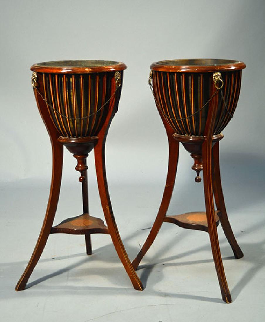 Pair English Mahogany Fern Stands: Pair English mahogany fern stands. Brass liners, with brass lions heads and chains, line inlay, splayed legs. 33"H. x 13.5"W
