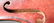 Maple violin with 3 bows with case - 3