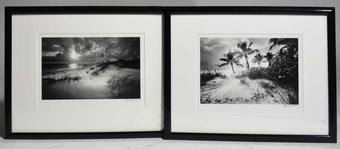 Two Photos by Clyde Butcher (1 of 9)