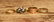 Group of 14K Gold Rings