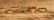 Group of 14K Gold Rings - 2