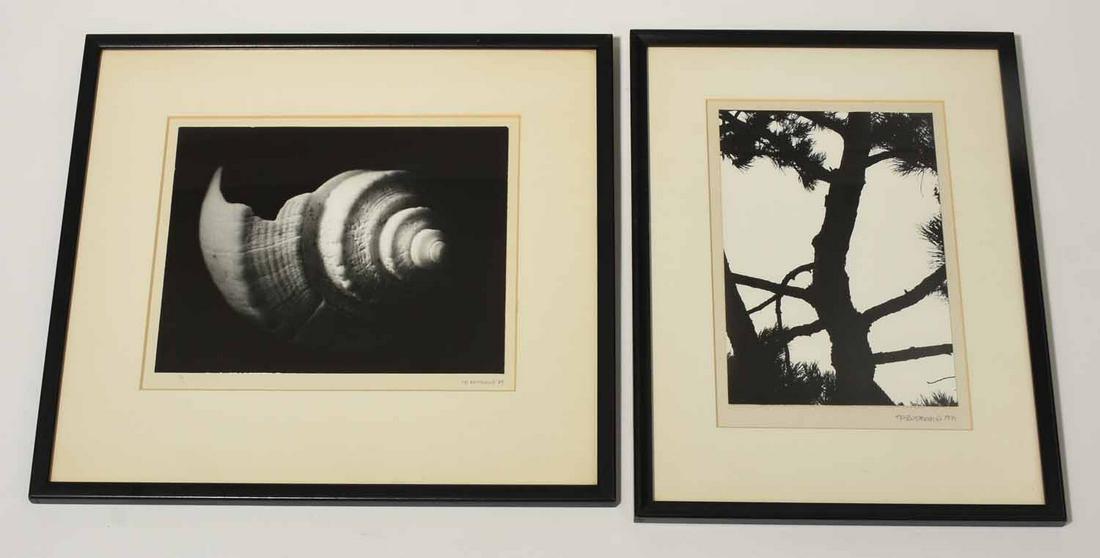 Two Photographic Prints By Rothschild (1 of 7)