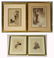 Louis Icart, Steinlen Prints