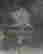 item-89496902=2