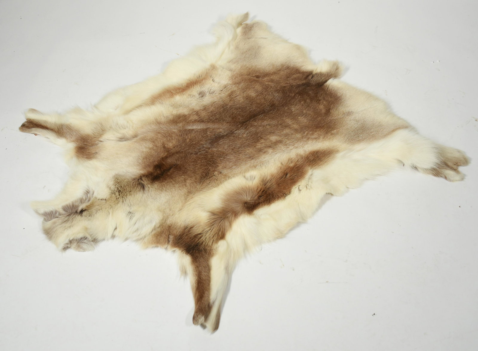 Reindeer hide, un-mounted: Reindeer hide, un-mounted