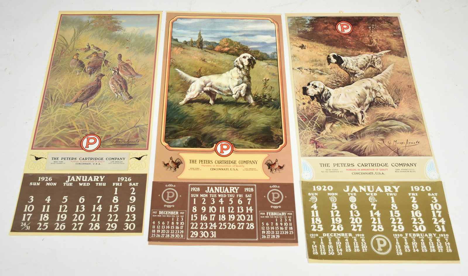 Three later Peters Cartridge Calendar posters: Three later Peters Cartridge Calendar posters, hunting fogs and pheasants , 32” X 15”
