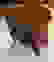 item-101761049=6