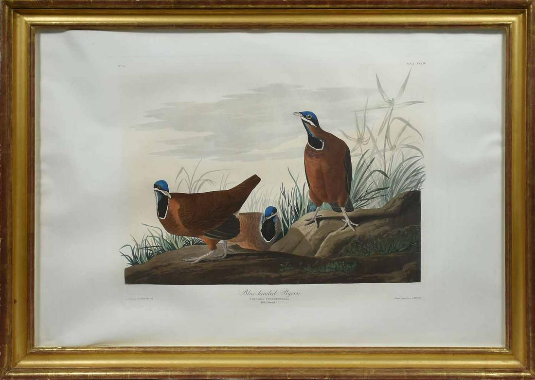 JOHN JAMES AUDUBON, HAND-COLORED ENGRAVING, 1833, (1 of 10)