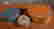 item-108392678=2
