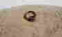 item-108392694=6