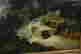 item-108392869=3