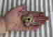 item-129087252=5