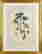 item-129087644=2