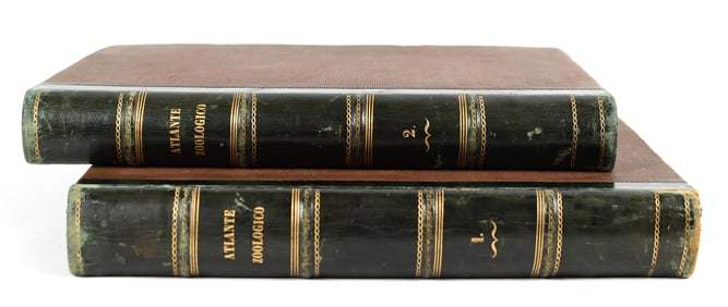 ZOOLOGY ATLANTE ZOOLOGICO POPOLARE BOSCHI VOL I & II.