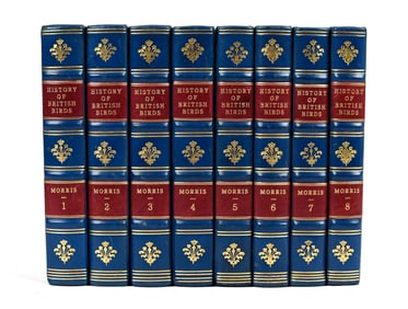 ORNITHOLOGY HISTORY OF BRITISH BIRDS FRANCIS MORRIS.