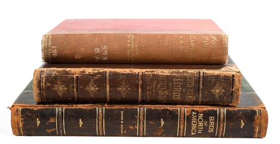 ORNITHOLOGY 3 19TH C VOLUMES GENTRY, STUDER, MORRIS.