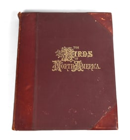 ORNITHOLOGY BIRDS OF NORTH AMERICA JACOB H STUDER.