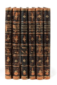 ZOOLOGY LITHOGRAPHY ANIMATE CREATION REV J G WOOD.