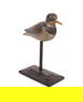 MARK MCNAIR CRADDOCKVILLE VA SHORE BIRD DECOY.