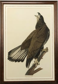 19TH C. LARGE FOLIO AUDUBON, WHITE HEADED EAGLE.