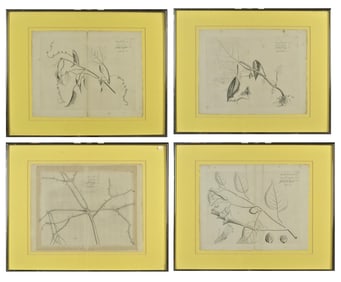 17TH C. HENDRIK VON TOTDRACKENSTEIN ENGRAVINGS