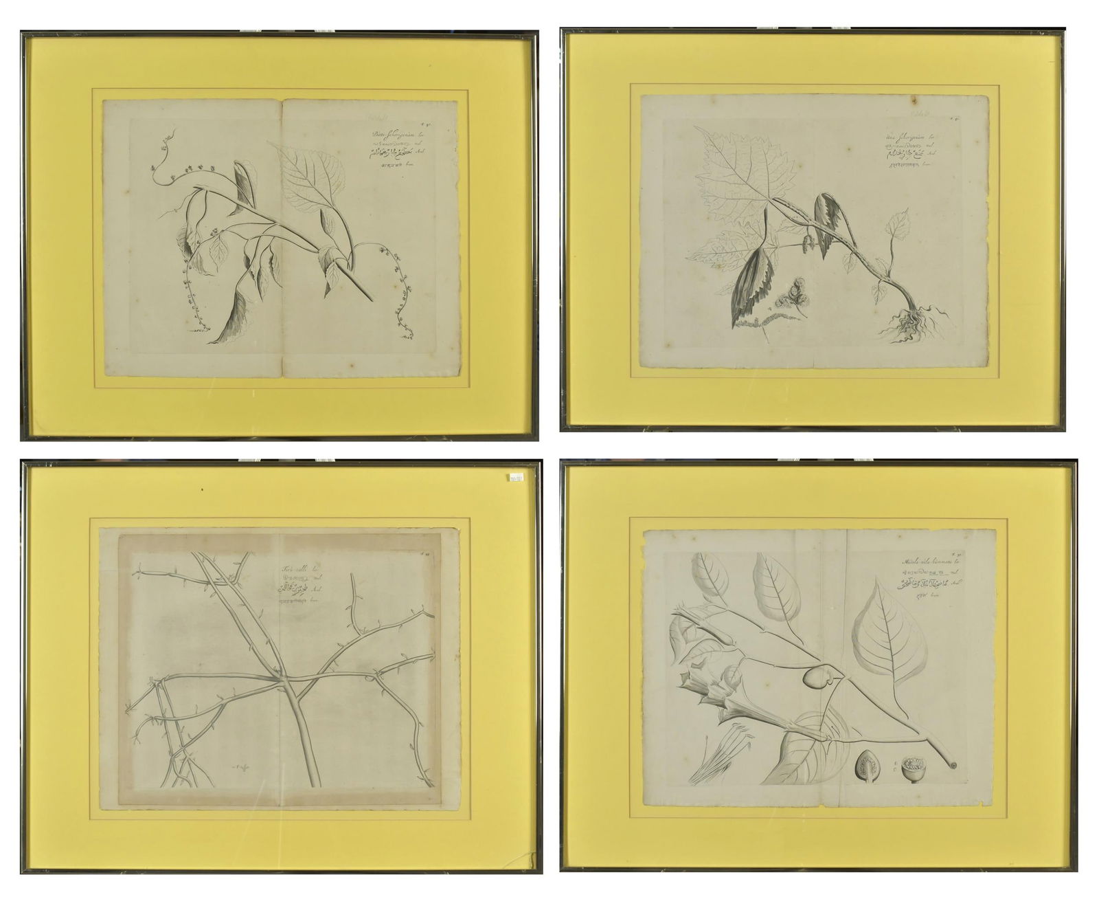 17TH C. HENDRIK VON TOTDRACKENSTEIN ENGRAVINGS (1 of 11)