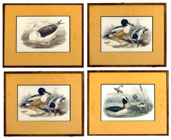 FOUR GOULD & RICHTER AQUATINT LITHOGRAPHS, DUCKS.