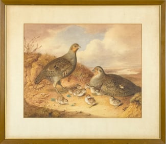 AUGUSTA WITHERS WATERCOLOR, PARTRIDGE & CHICKS.