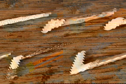 FOUR ANTIQUE WALKING STICKS AND CANES.