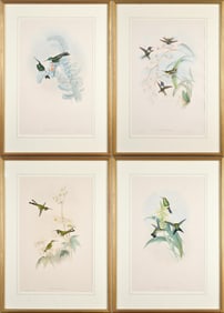 FOUR GOULD & RICHTER HUMMING BIRD LITHOGRAPHS.