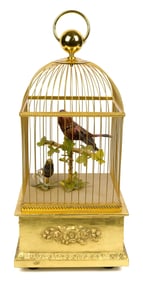 LARGE SWISS SONGBIRDS IN CAGE.