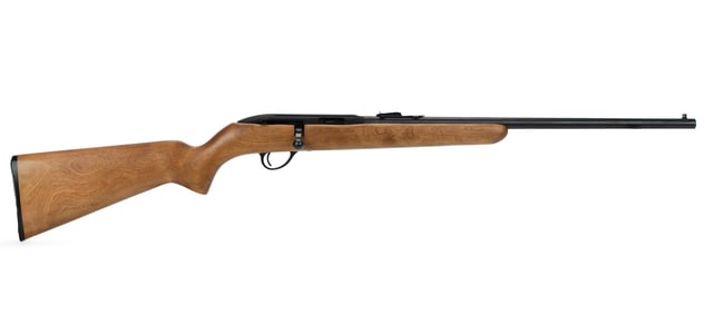 SEARS MODEL 101 .22 CAL BOLT ACTION RIFLE.