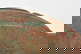 item-206089529=7