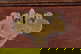 item-209265731=6