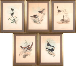 FIVE GOULD & RICHTER AQUATINTS.