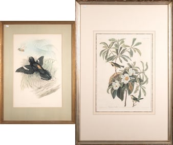 AUDUBON, GOULD & RICHTER ORNITHOLOGICAL AQUATINTS.