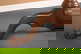 item-209265911=7